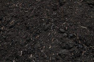 Soil - Dark Organic Bulk Landscape Supplies