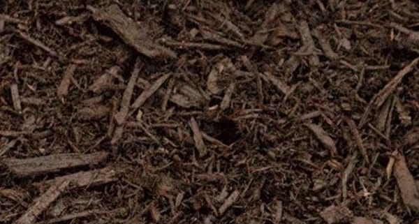 Forest Mulch Premium - Bulk Landscape Suppliers Brisbane