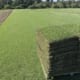 Empire Zoysia Turf Supplier Brisbane - Quality Grass