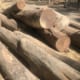 Timber Log Deliveries Brisbane - Jimel Transport