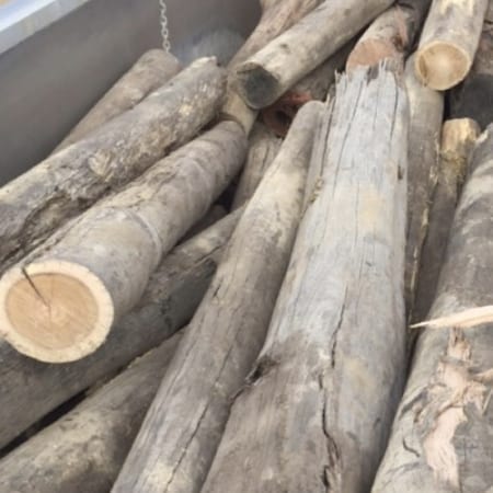 Timber Logs Landscaping - Commercial Landscaping Products